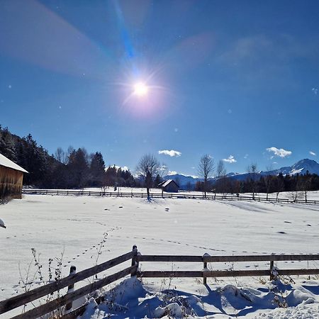 Appartement Bergsee Sun - Am Wildsee - Atemberaubende Aussicht Seefeld in Tirol Buitenkant foto