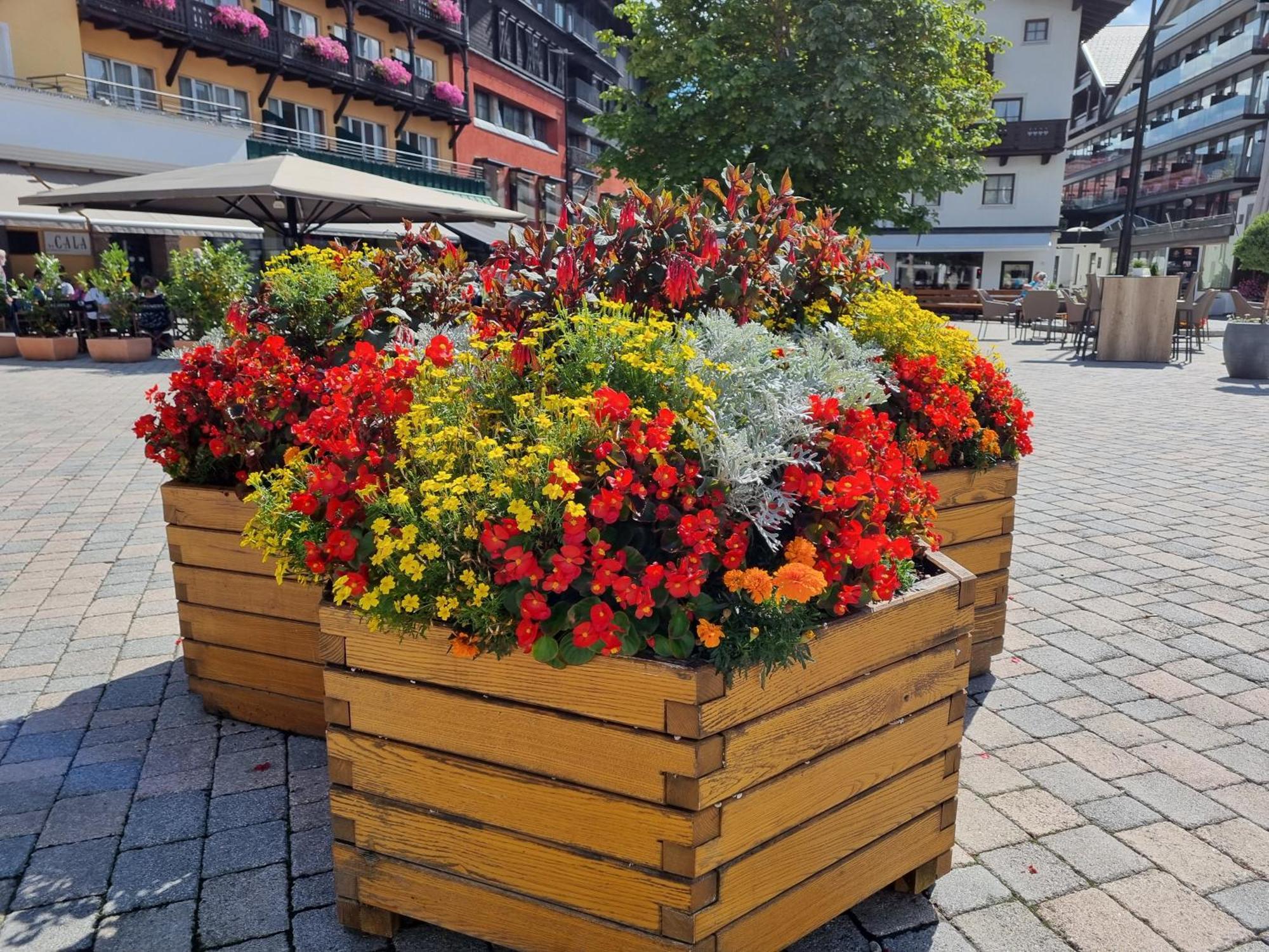 Appartement Bergsee Sun - Am Wildsee - Atemberaubende Aussicht Seefeld in Tirol Buitenkant foto