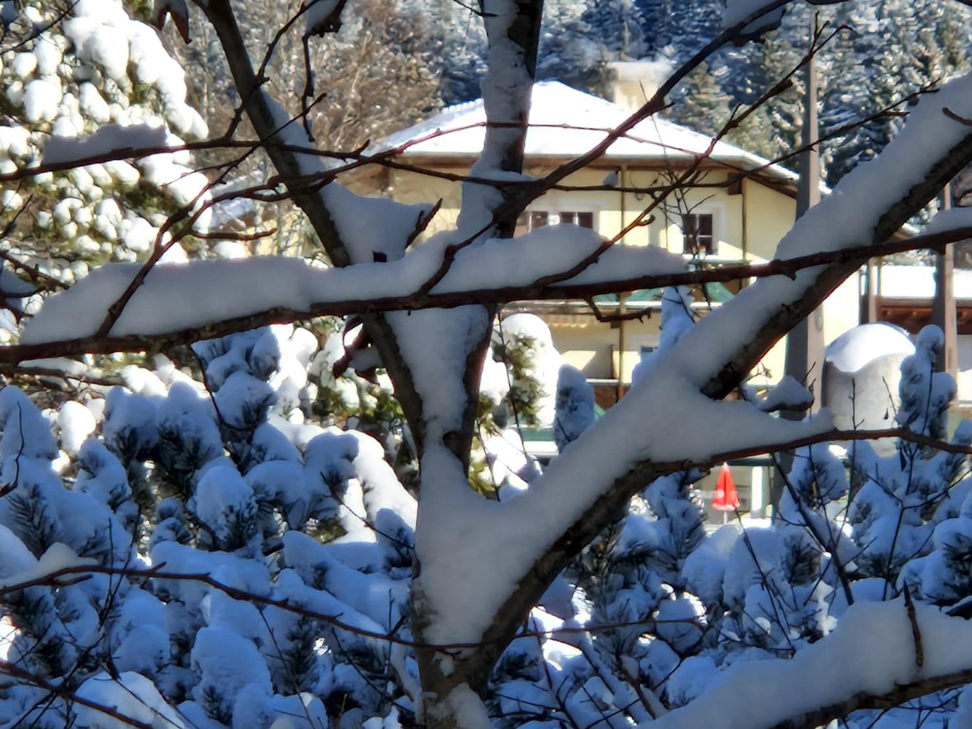 Appartement Bergsee Sun - Am Wildsee - Atemberaubende Aussicht Seefeld in Tirol Buitenkant foto
