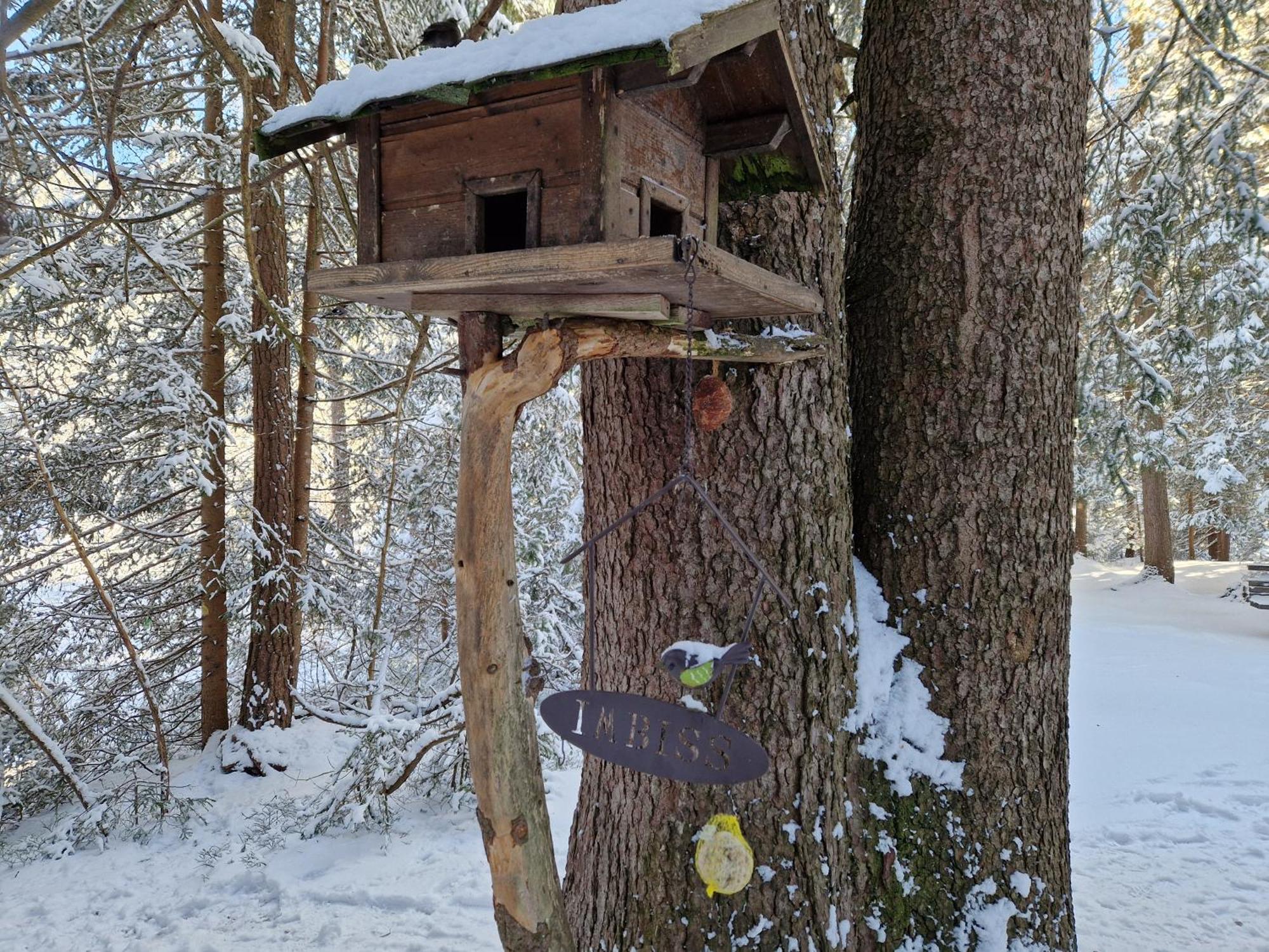 Appartement Bergsee Sun - Am Wildsee - Atemberaubende Aussicht Seefeld in Tirol Buitenkant foto